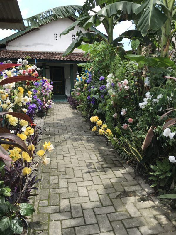 一面に花々が咲く家の庭園